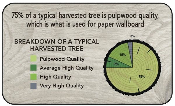 waldan sustainability